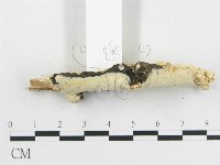 登錄號:F0009129藏品圖，第4張