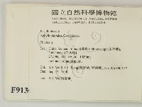 射脈菌屬藏品圖，第2張