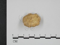 登錄號:F0009131藏品圖，第1張