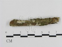 登錄號:F0009135藏品圖，第1張