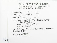 阿太菌屬藏品圖，第2張