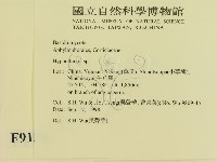 絲齒菌屬藏品圖，第2張