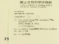 登錄號:F0009139藏品圖，第2張