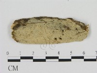 登錄號:F0009139藏品圖，第1張