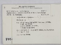 登錄號:F0009141藏品圖，第2張