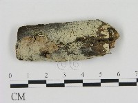 登錄號:F0009142藏品圖，第1張