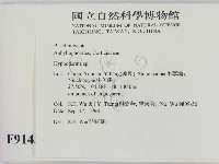 絲皮菌屬藏品圖，第2張