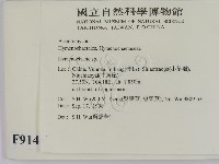 刺革菌屬藏品圖，第2張