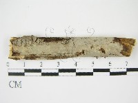 登錄號:F0009148藏品圖，第1張