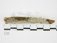 登錄號:F0009148藏品圖，第3張