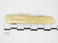 登錄號:F0009148藏品圖，第4張