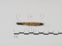 登錄號:F0009149藏品圖，第1張