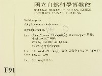 登錄號:F0009150藏品圖，第2張
