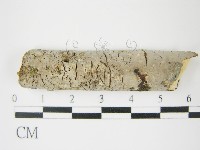 登錄號:F0009151藏品圖，第1張