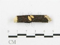 登錄號:F0009152藏品圖，第1張