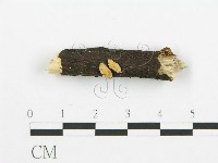 登錄號:F0009152藏品圖，第3張