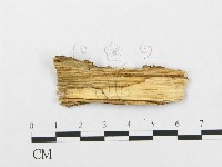 登錄號:F0009160藏品圖，第3張