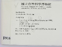 登錄號:F0009162藏品圖，第2張