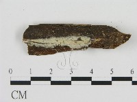 登錄號:F0009163藏品圖，第1張