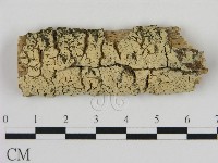 登錄號:F0009164藏品圖，第1張