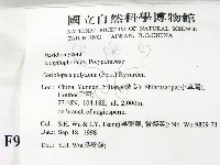 登錄號:F0009165藏品圖，第2張