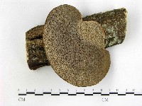 登錄號:F0009165藏品圖，第1張