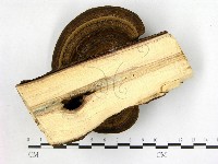 登錄號:F0009165藏品圖，第3張