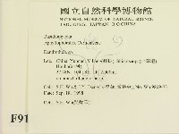 登錄號:F0009167藏品圖，第2張