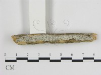 登錄號:F0009167藏品圖，第1張