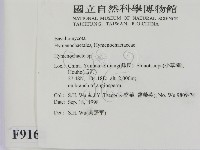 刺革菌屬藏品圖，第2張