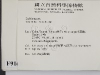 登錄號:F0009169藏品圖，第2張