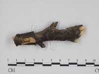 登錄號:F0009169藏品圖，第3張