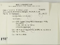 登錄號:F0009170藏品圖，第2張