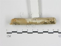 登錄號:F0009172藏品圖，第1張