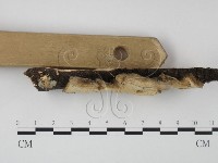 登錄號:F0009173藏品圖，第3張