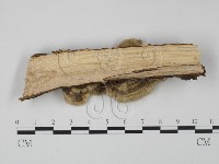 登錄號:F0009173藏品圖，第4張