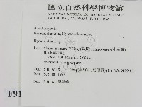 刺革菌屬藏品圖，第2張