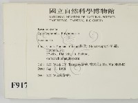 韌革菌屬藏品圖，第2張