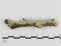 登錄號:F0009178藏品圖，第1張