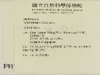 登錄號:F0009179藏品圖，第2張