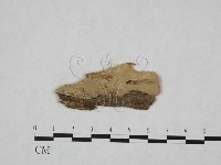 登錄號:F0009180藏品圖，第1張