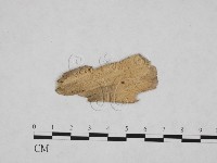 登錄號:F0009180藏品圖，第3張
