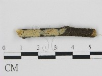 登錄號:F0009181藏品圖，第1張