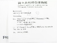 登錄號:F0009182藏品圖，第2張
