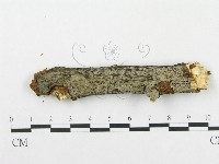登錄號:F0009182藏品圖，第1張