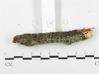 登錄號:F0009182藏品圖，第3張