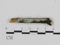 登錄號:F0009183藏品圖，第1張
