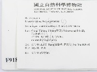 登錄號:F0009184藏品圖，第2張