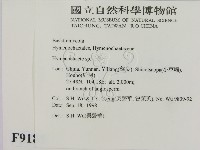 刺革菌屬藏品圖，第2張