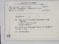 登錄號:F0009186藏品圖，第2張